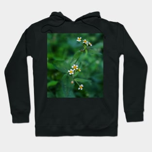 Cute wild daisies Hoodie